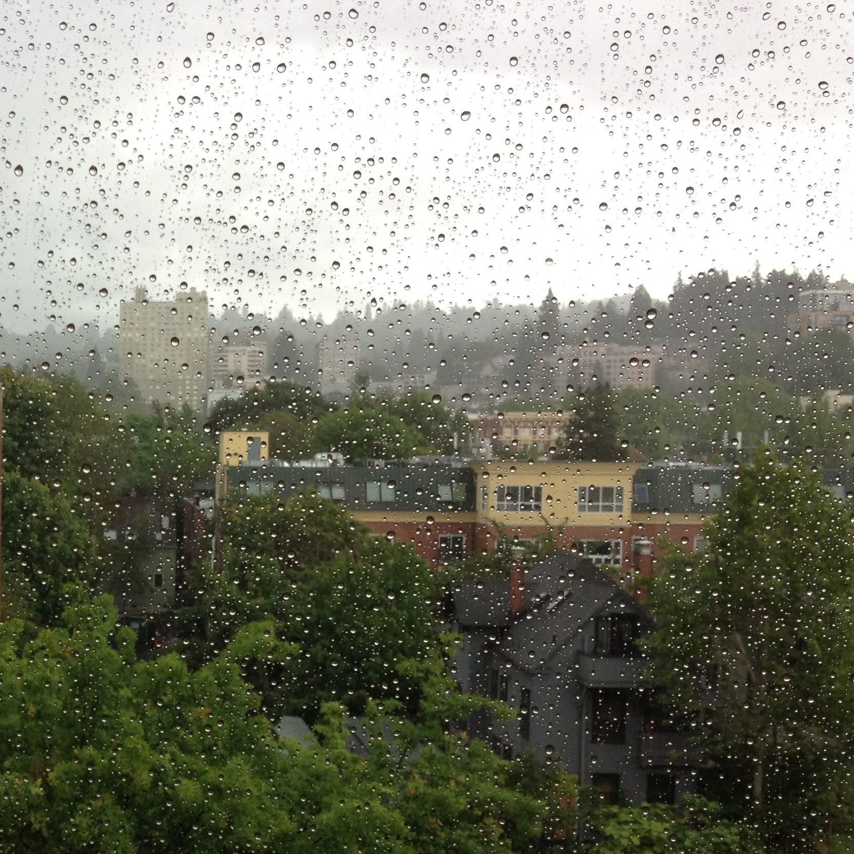 mmr-pic2.jpg mmr-pic2.jpg